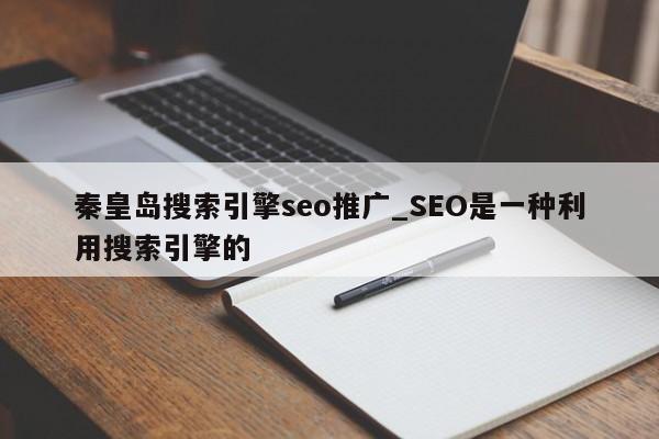 秦皇岛搜索引擎seo推广_SEO是一种利用搜索引擎的